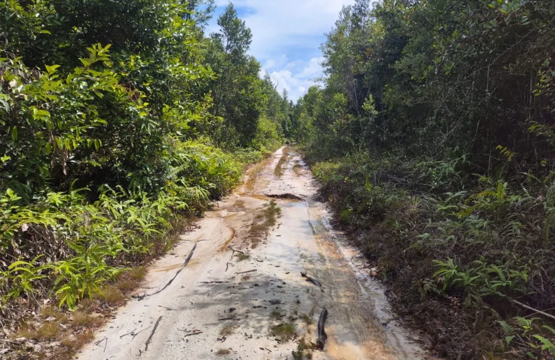 Biodiversity Assesment in Pulapis